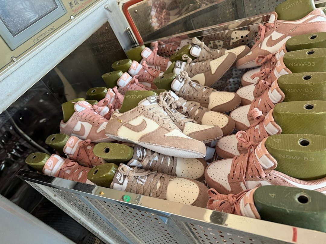 Nike Dunk Low SE Pink Oxford White Sail Gold Charm Women's Sneakers FD0793-600 - Image 3