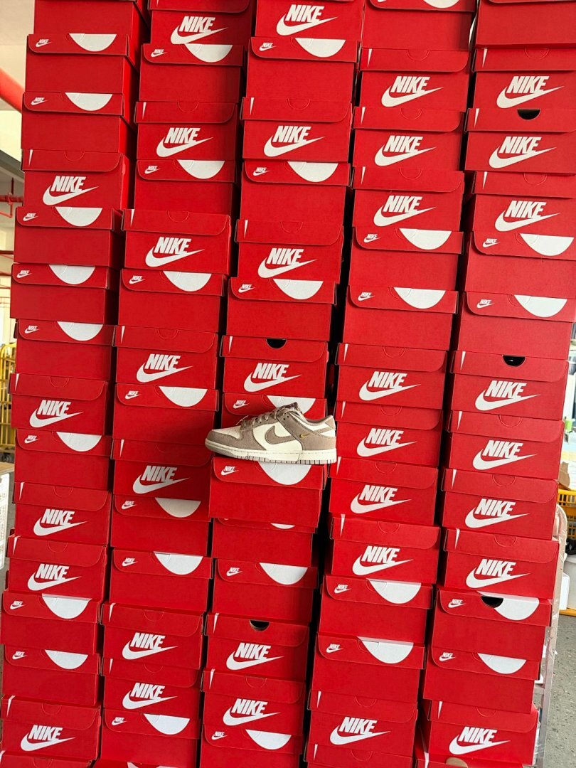 Nike Dunk Low SE Pink Oxford White Sail Gold Charm Women's Sneakers FD0793-600 - Image 10